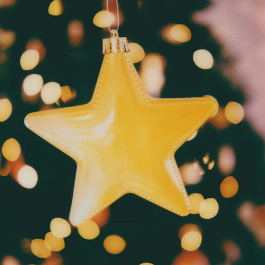 A Little Christmas Inspiration From MiNT - Camera Ready!