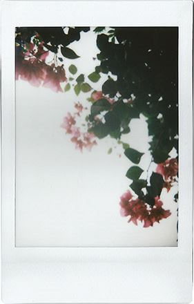 With lens hood