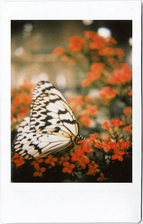 With close up lens