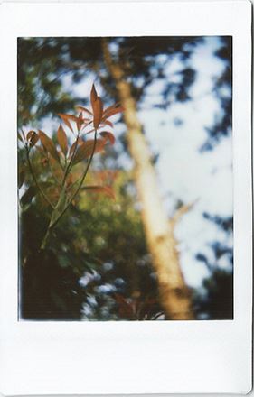 With lens hood