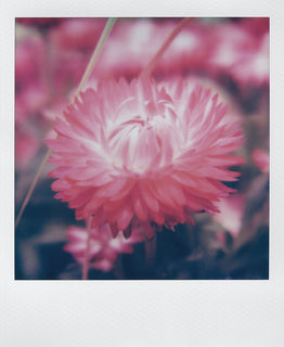 SHARPA™ Lens Sample Shot