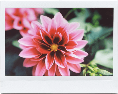 RF70 sample shot
