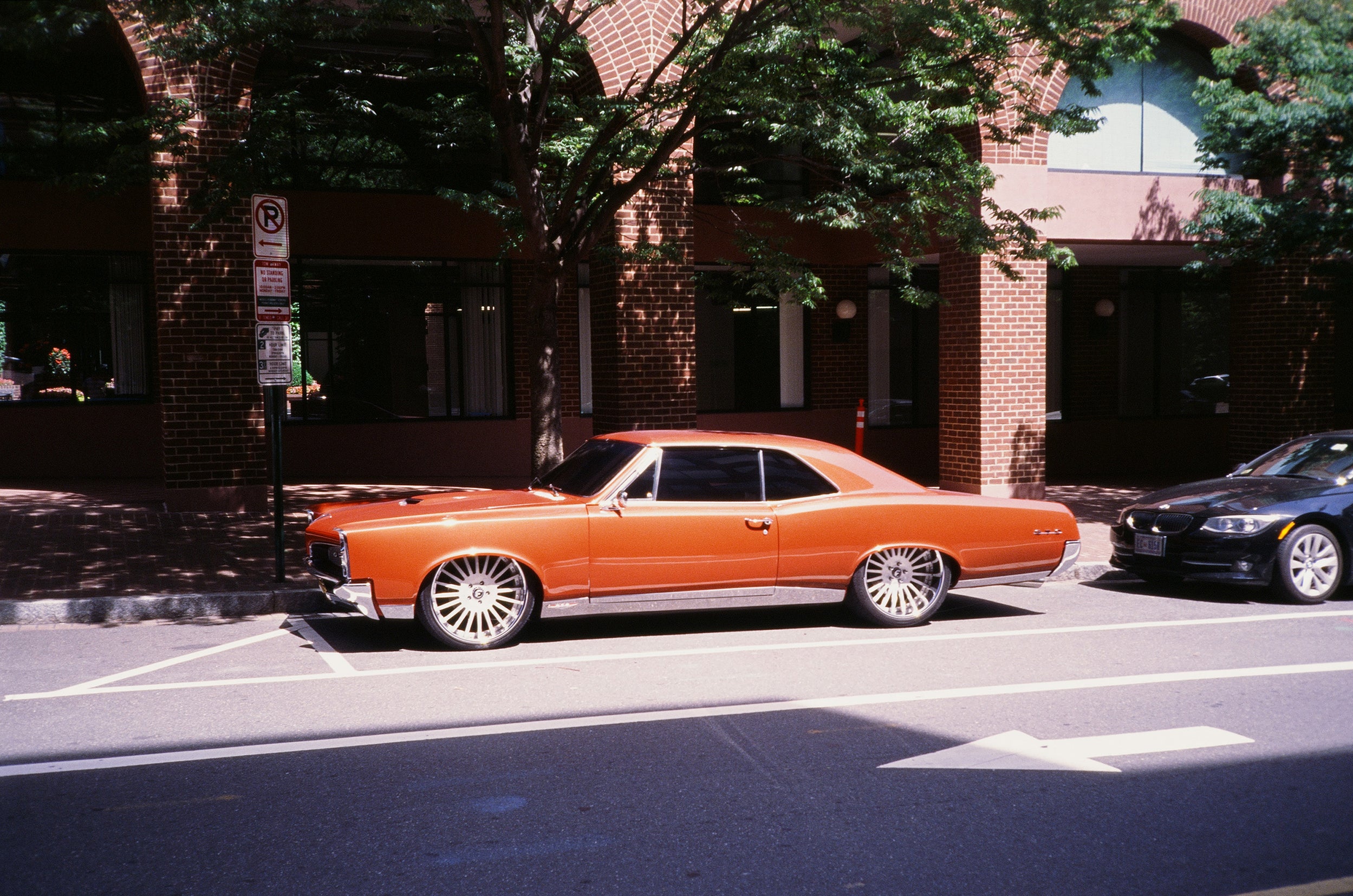 Rollei 35AF sample shot