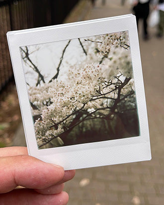InstantFlex TL70 Plus sample shot
