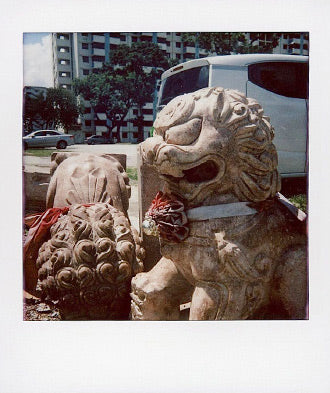 InstantFlex TL70 Plus sample shot