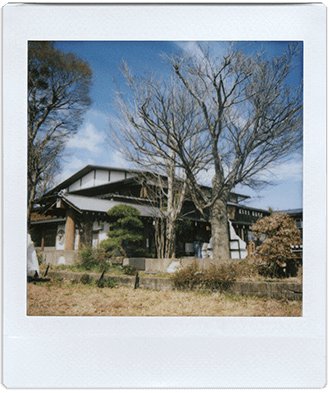 InstantFlex TL70 Plus sample shot