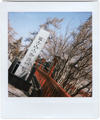 InstantFlex TL70 Plus sample shot