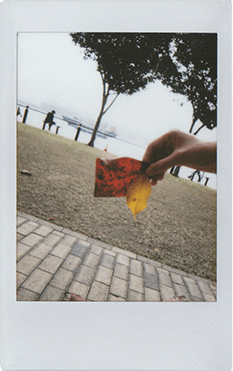 instax90 photo