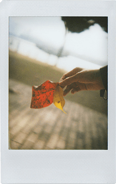 TL70 photo