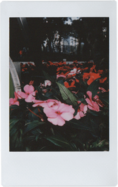 instax90 photo