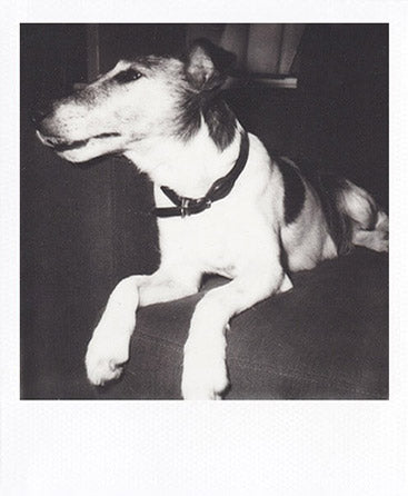 SX-70 sample shot