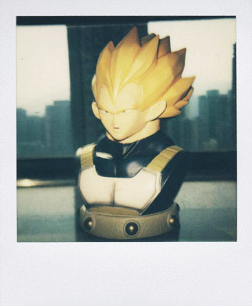 SX-70 sample shot