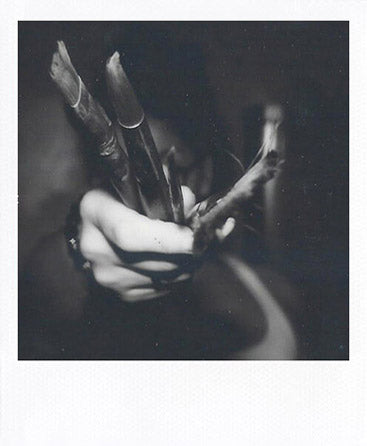SX-70 sample shot