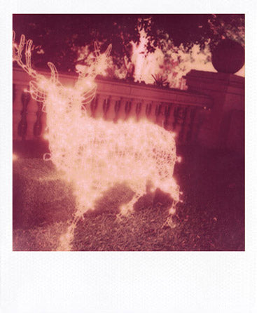 SX-70 sample shot