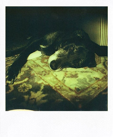 SX-70 sample shot