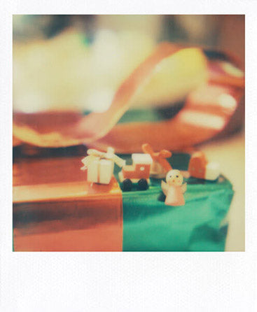 SX-70 sample shot