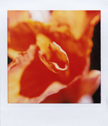 SF70 sample shot