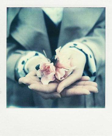 SX-70 sample shot