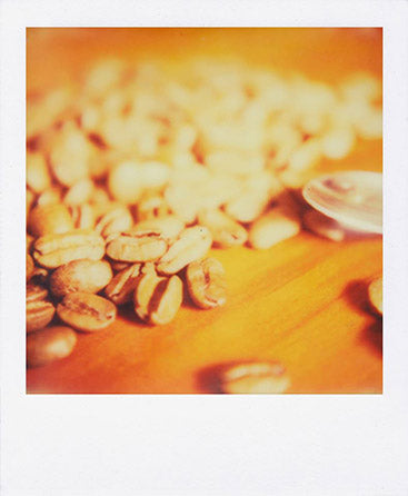 SX-70 sample shot