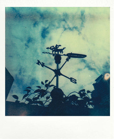 SX-70 sample shot