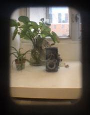 instax mini 90 NEO lookout