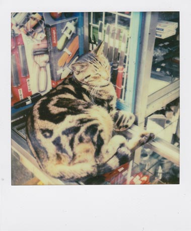 SX-70 sample shot