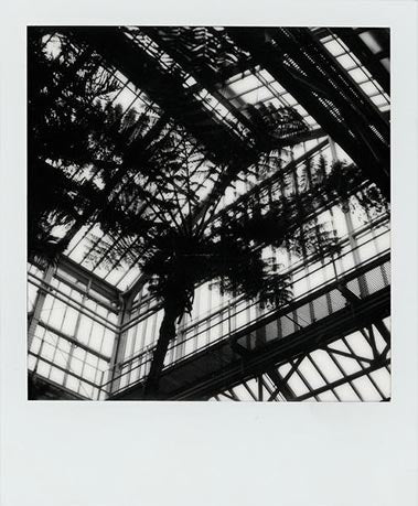 SX-70 sample shot