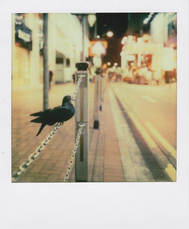 SX-70 sample shot