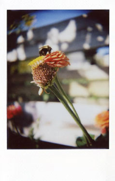 InstantFlex TL70 sample shot