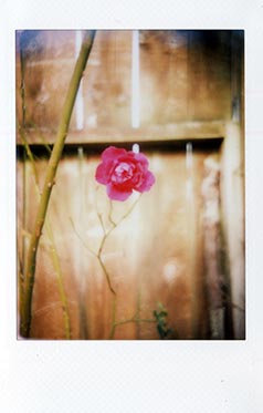 InstantFlex TL70 sample shot