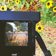 InstantFlex TL70 lookout